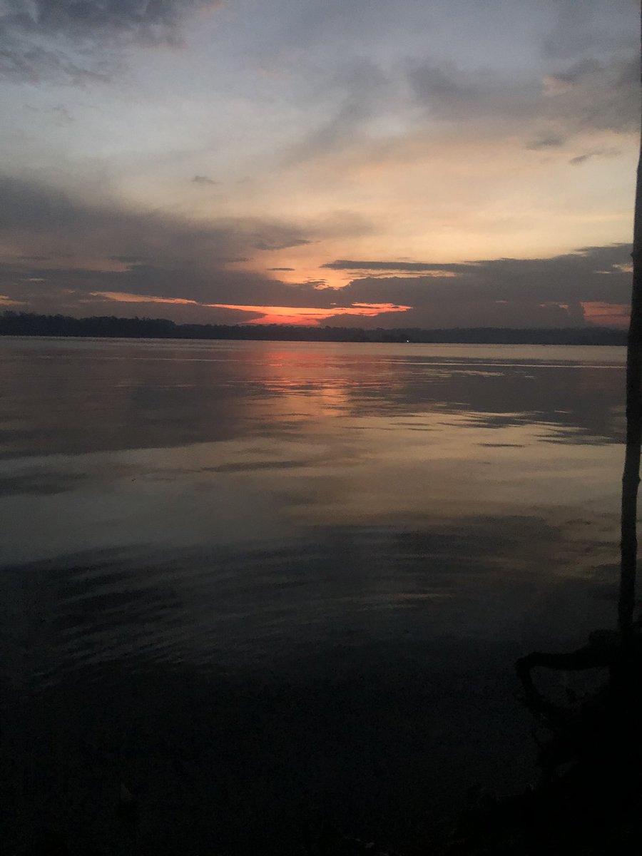 marie_nelima's tweet photo. At the pearl of Africa!
#TravelTuesday #lunkuluisland #ilovenature #beauty  #tuesdayvibe #quackityspace https://t.co/oOHR2PsXBh