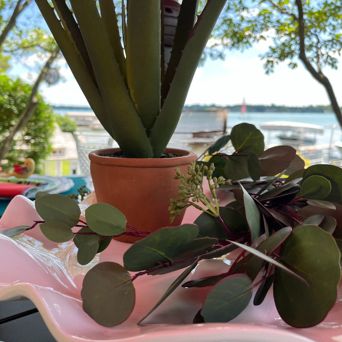 English Gardens on Twitter "Our End of Season Sale starts today