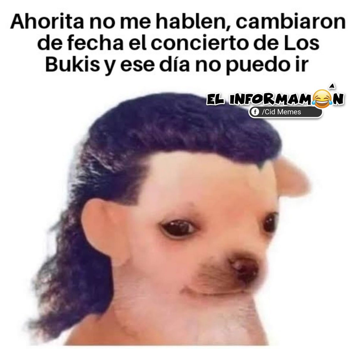 EL INFORMAMÓN tweet media