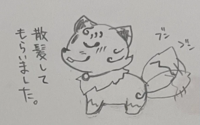 (ただし数日後すぐ元に戻る) 