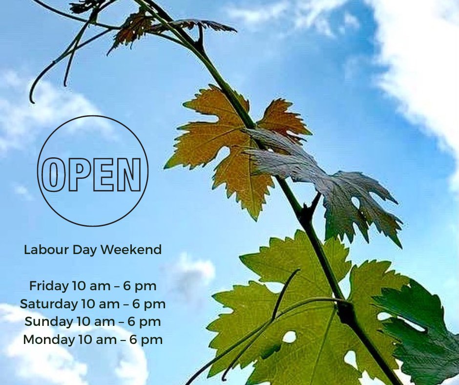 KacabaVineyards's tweet photo. We're Open #LabourDay #LongWeekend. Book a Guided Tasting: https://t.co/HMZw0a3YSp Booked appts are guaranteed. Walk-ins by chance. WBTG, sangria, flights &amp; charcuterie also avail - no res required #NiagaraEscarpment #twentyvalley @WineCountryOnt @ONCraftWineries 📷 #zoomacaters https://t.co/VlI8mtFeLp