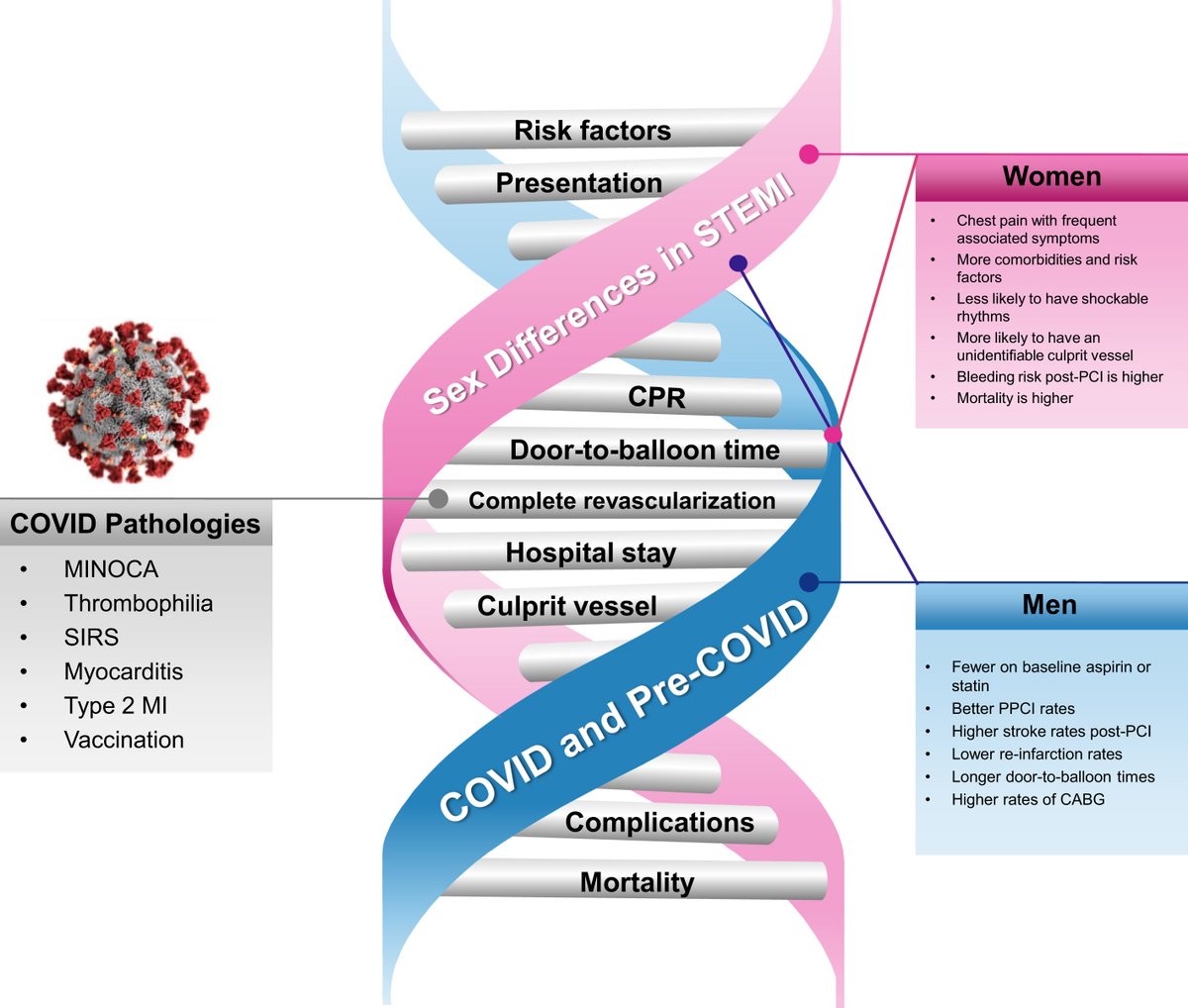 MyJSCAI's tweet image. Editorial by @mirvatalasnag et al - #STEMIs and #MINOCA during #COVID

➡️ doi.org/10.1016/j.jsca…

@alaide_chief @BinitaShahMD