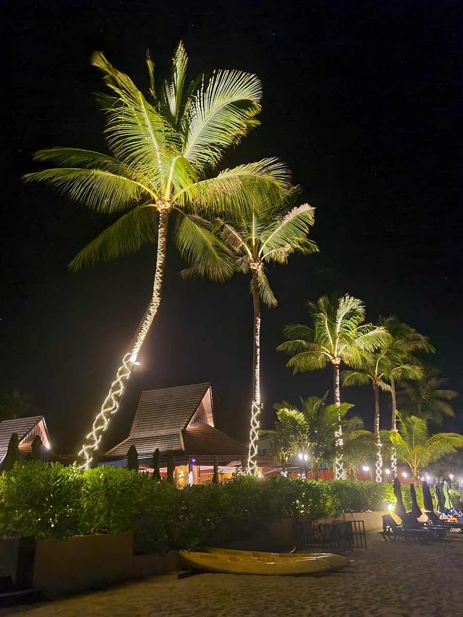 Beau3170's tweet photo. Night time in Thailand πΉπ
#HavingTheBestTime https://t.co/gGXxX1nl27