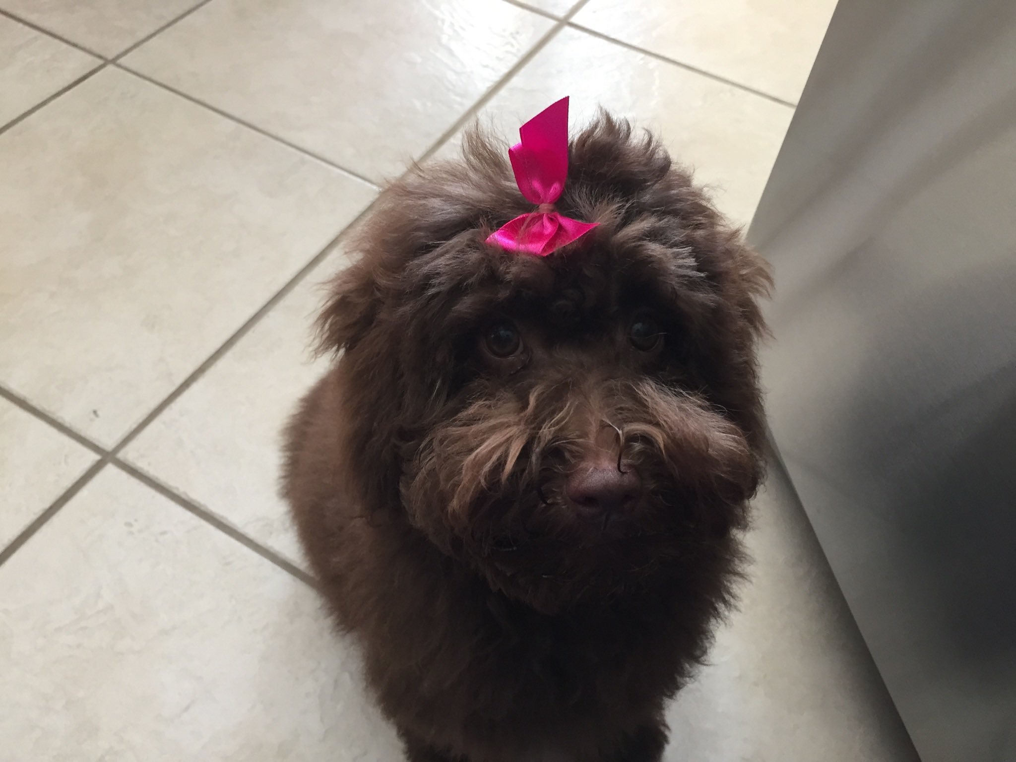  Happy Birthday, Amanda! Hope it s a great day! This is Carly. 