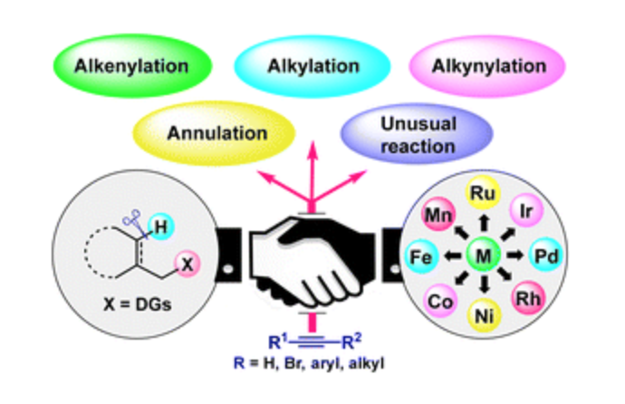 ravikumar_lab's tweet photo. Alkynes are versatile coupling partners in C-H activation reactions. Check out our Highlight article in Chem Comm on the diverse reactivity of alkynes. https://t.co/ovypjJCYHl
Hearty Congratulations!! @ShyamBanjare7, Pranav, @NandaTanmayee, @BVedvyas, Lam... https://t.co/3xOtdxLri5
