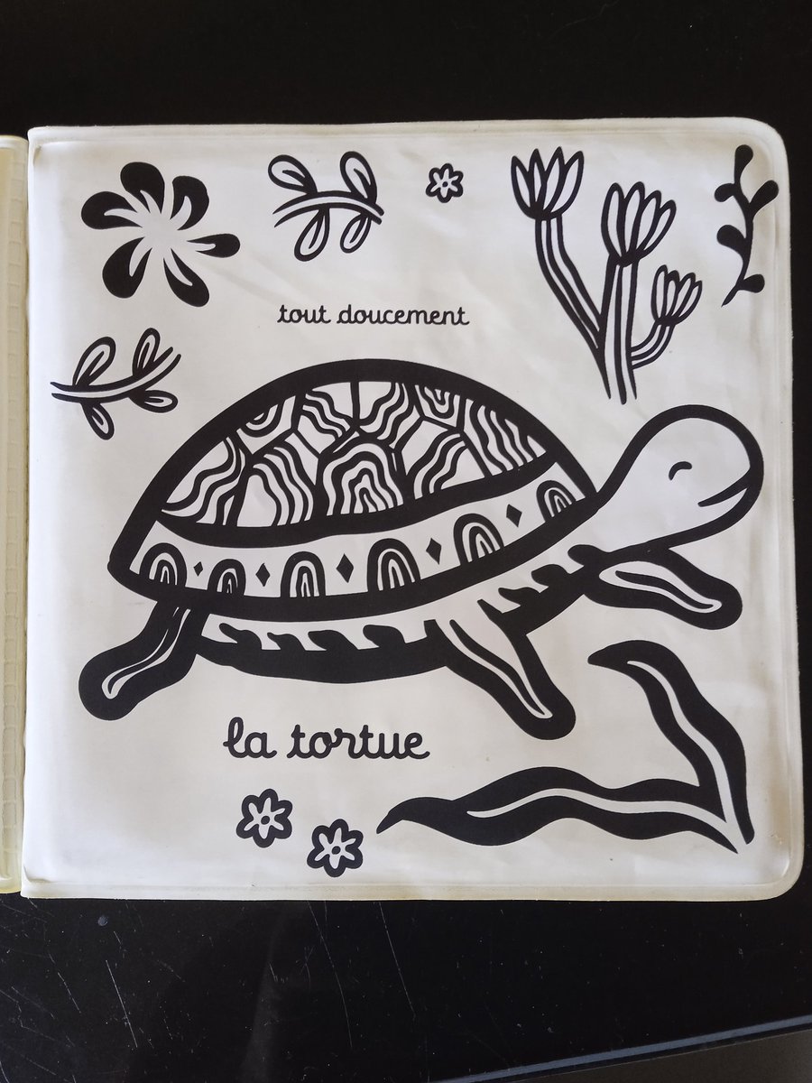 ✨Klσωrσ Qυεεη_ttv💫 tweet media