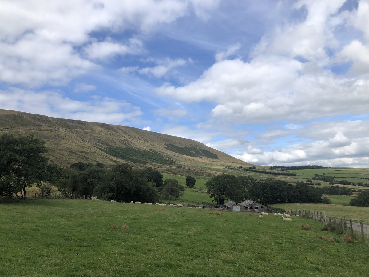 Rachel Leek tweet media