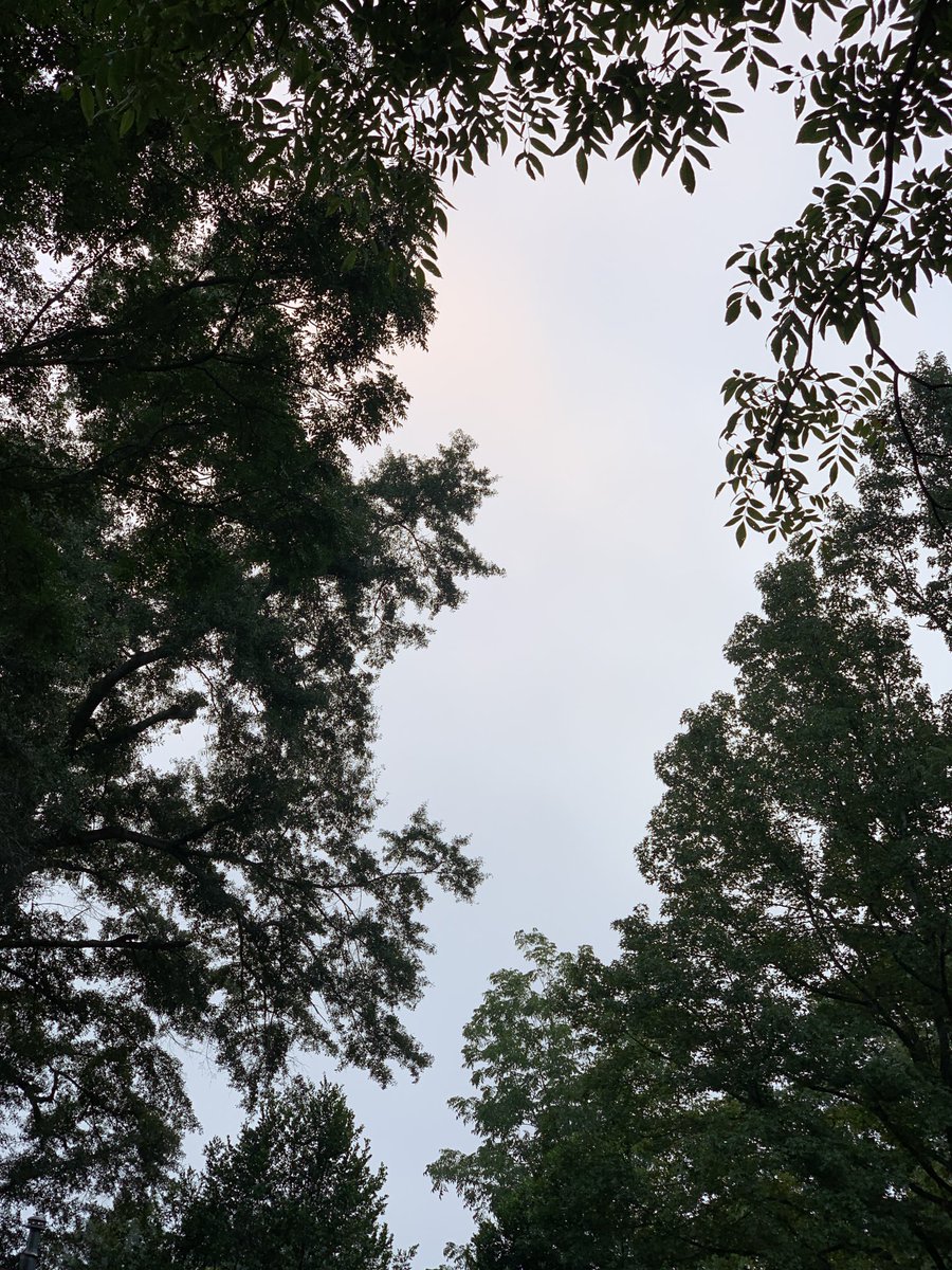 okamoto_sandra's tweet photo. Good morning, Columbus! #ColumbusGA #mydailyphoto #08/30/2022 #2022project #completelycloudy #nosignofmoon #coolbuthumid #tiniestofbreezes #birdswakingup #cicadasloud #roostercrowing #neighborsdogsbarking https://t.co/VbVjz1UDR6