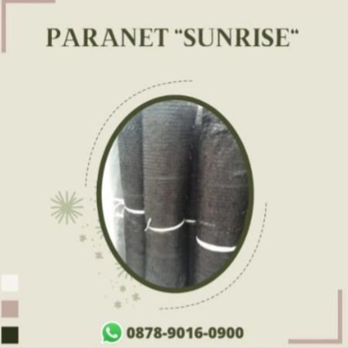 ParanetPar2's tweet image. terlaris WA+628789016090-0, distributor jaring paranet 40 Surabaya 

#paranet40persen #jaringparanet40 #paranet40 #paranet50persen #paranet55