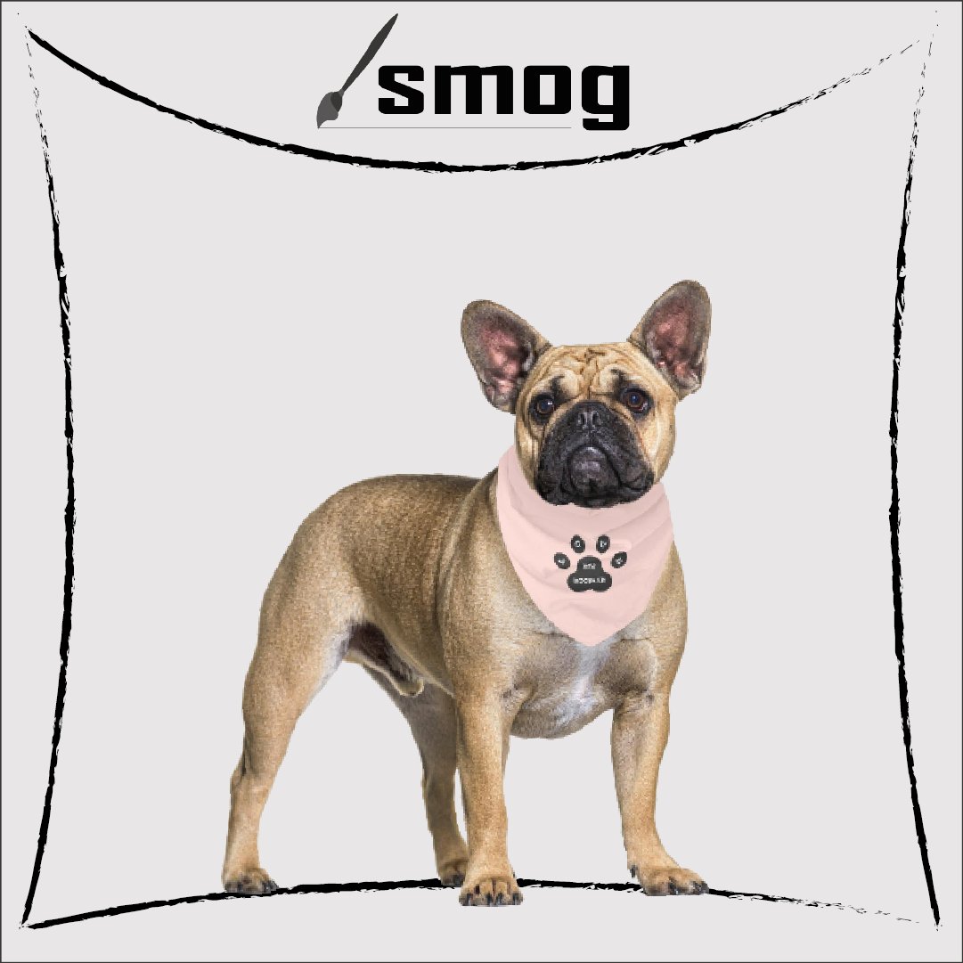 SmogCasual's tweet image. Patili dostlarımıza çok yakışacak💛

*İnsan ve hayvan sağlığına zarar vermeyen kumaş ve baskı ile üretilir.

#hoomanlove #petbandana #baskılıbandana #printondemand #baskılıürünler #smogcasual #patilidostlar #pets