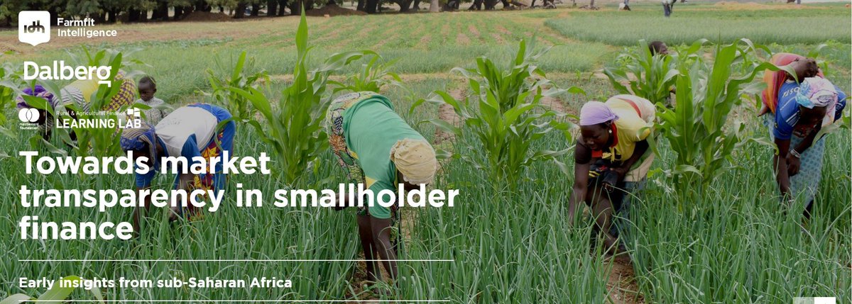 IDHTrade's tweet photo. It's known that Financial Service Providers are hesitant to lend to smallholder farmers: most private investors continue to perceive smallholder finance as a high-risk, high-cost endeavor. Read about the business case to invest now: https://t.co/wk0ZteriCd?
#SmallholderFinance https://t.co/4CG3pMwJg2