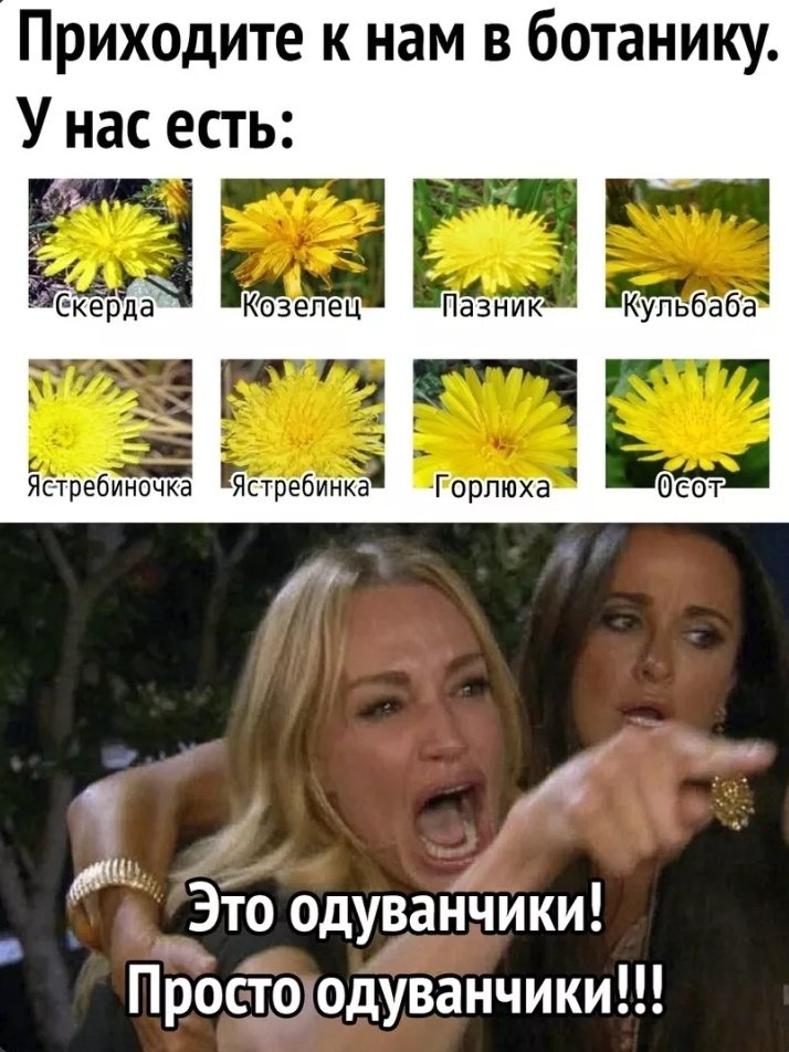 Azaroaren's tweet photo. Моё душевное состояние через последние мемы: https://t.co/ZEDORJs8eM