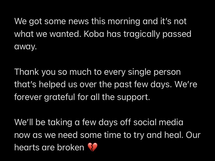 Aoife Connolly tweet media