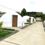 ツイートに含まれる画像