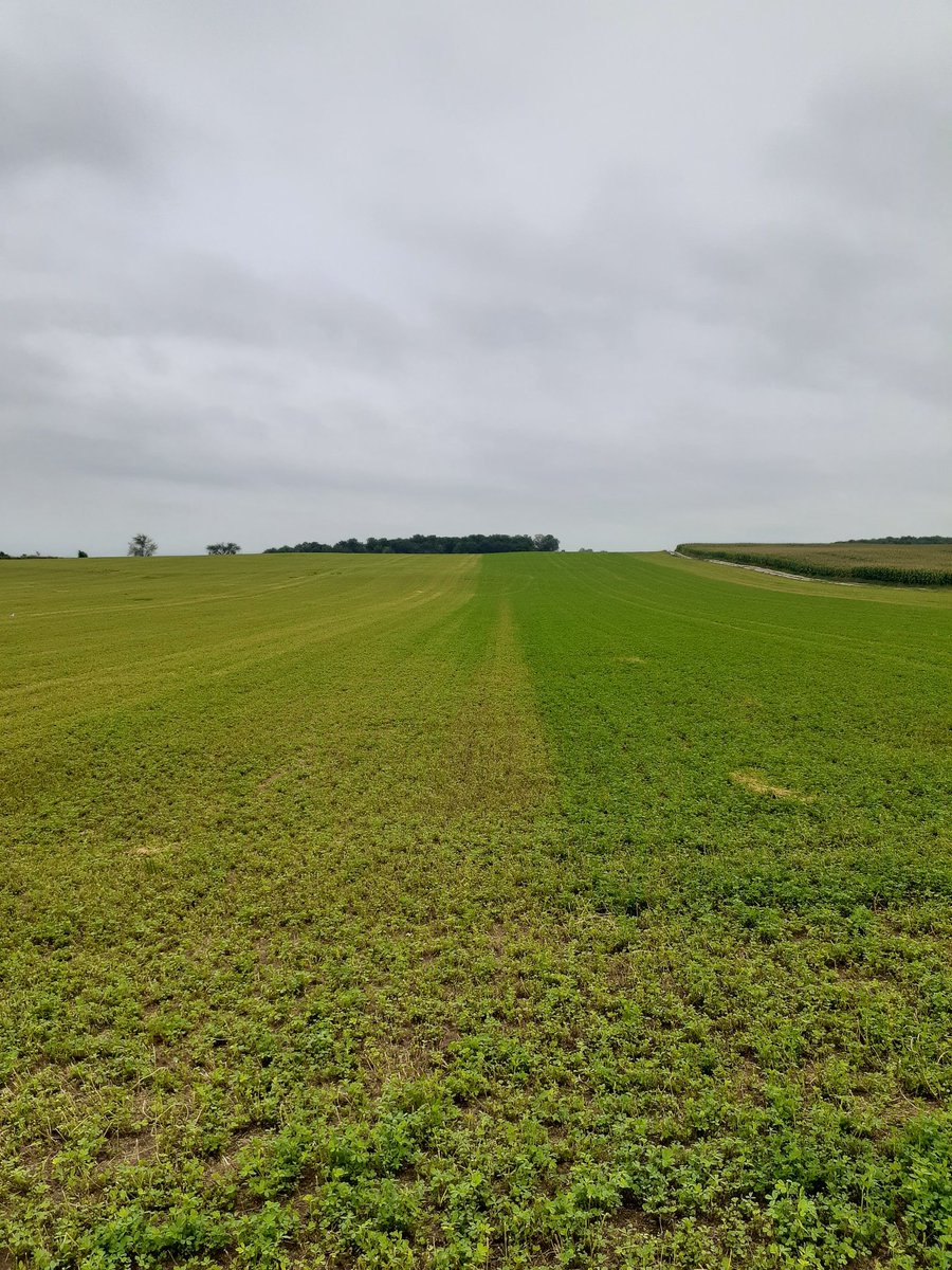 Dave Bryson tweet media