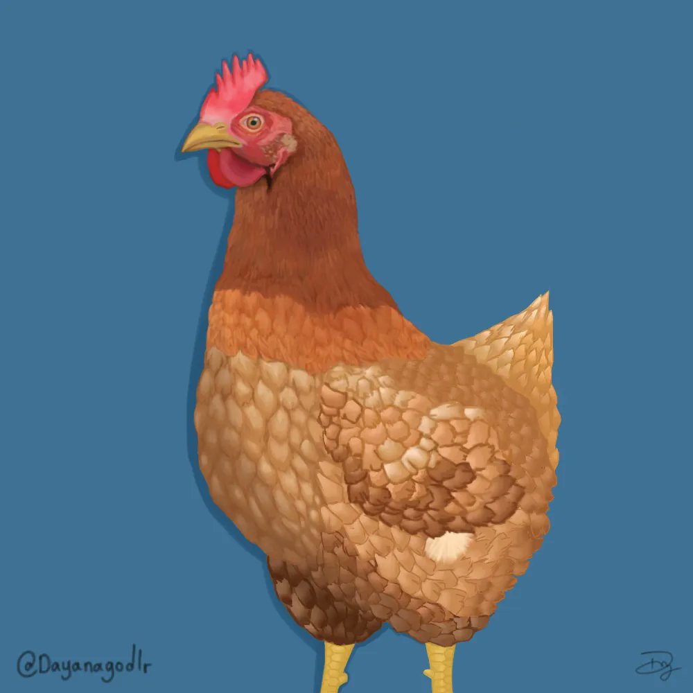 TibiDraws's tweet photo. Seaside pets- Part. 3 Whippy the chicken (≧▽≦) #Seaside #GTARP #nopixelfanart @SimoTTV https://t.co/JybaI74uKc