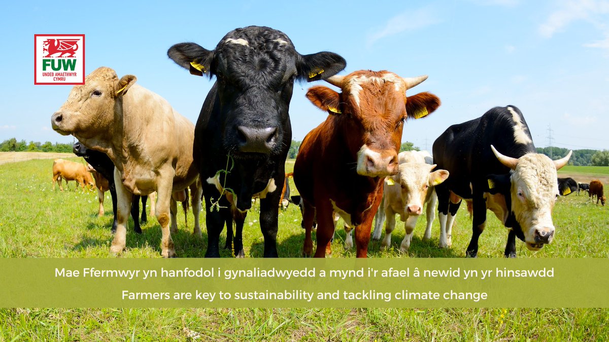 FUW_UAC's tweet photo. Traditional family farms, looking after the land are key to sustainability and tackling climate change. #FoodSystems

Mae ffermydd teuluol traddodiadol, sy'n gofalu am y tir yn allweddol i gynaliadwyedd a mynd i'r afael â newid yn yr hinsawdd. #SystemauBwyd https://t.co/QH6ww7HlYh