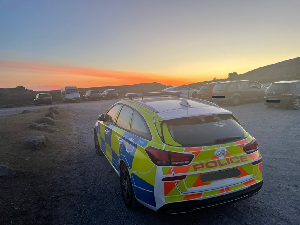 DCP South Devon Specials tweet media