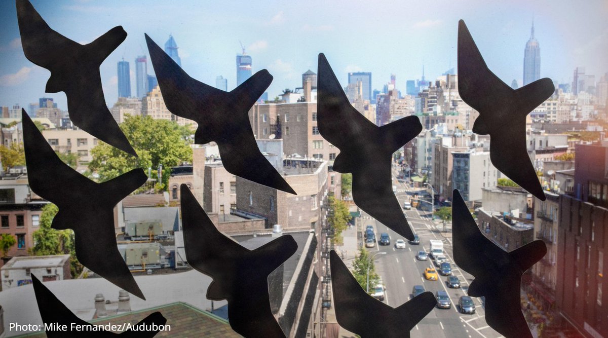 Audubon Society tweet media