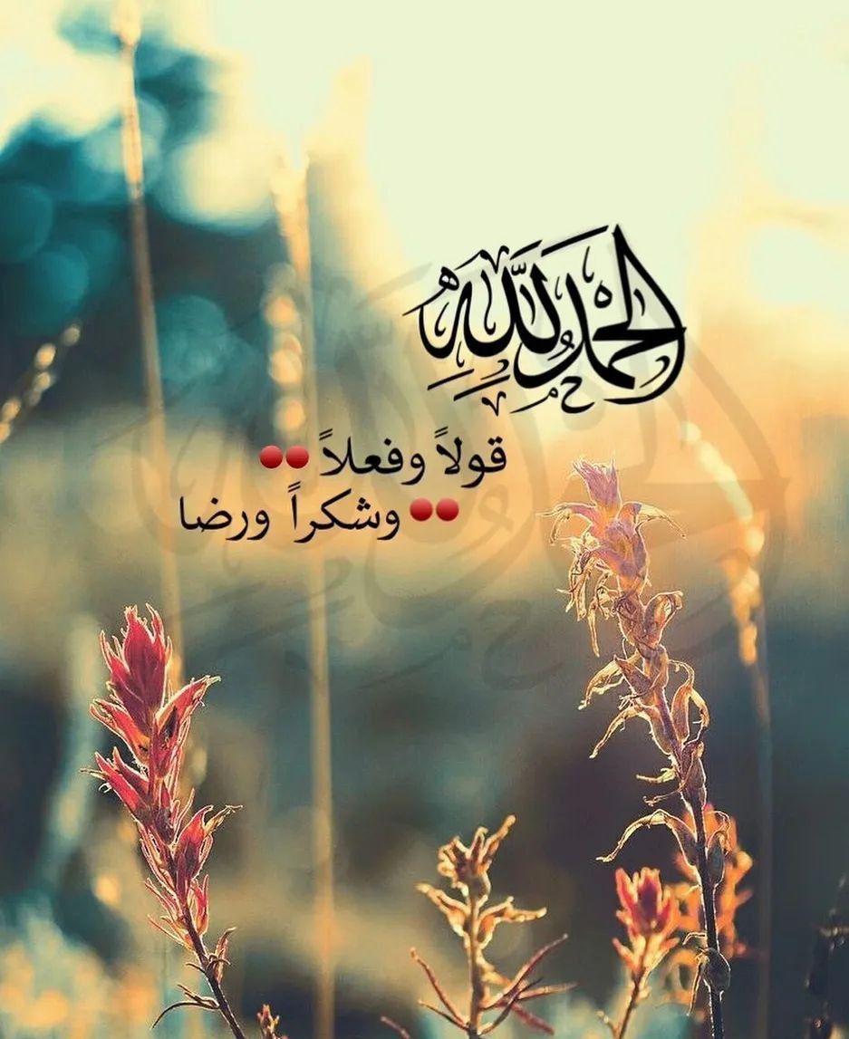 Sammm47246384's tweet photo. الحمدلله حتى يبلغ الحمد منتهاه 🌸🌼 https://t.co/ca1CouNtqP