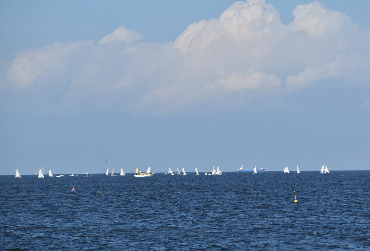 3955_trr's tweet image. 大学のヨットが、ずらりと並んでいる姿を、シーパラの沖合で見れた⛵️夏らしい景色🌻シーパラから少し南に行った、三浦市の三浦海岸の海に行った気分☀️海から、房総半島を見ているようなシーンが展開された🌴コロナが無ければ、すぐに行ける場所🚗　#八景島　＃シーパラ　#パラダイスクルーズ