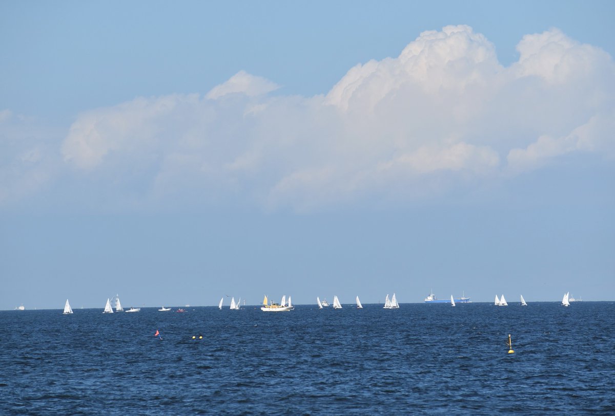 3955_trr's tweet image. 大学のヨットが、ずらりと並んでいる姿を、シーパラの沖合で見れた⛵️夏らしい景色🌻シーパラから少し南に行った、三浦市の三浦海岸の海に行った気分☀️海から、房総半島を見ているようなシーンが展開された🌴コロナが無ければ、すぐに行ける場所🚗　#八景島　＃シーパラ　#パラダイスクルーズ