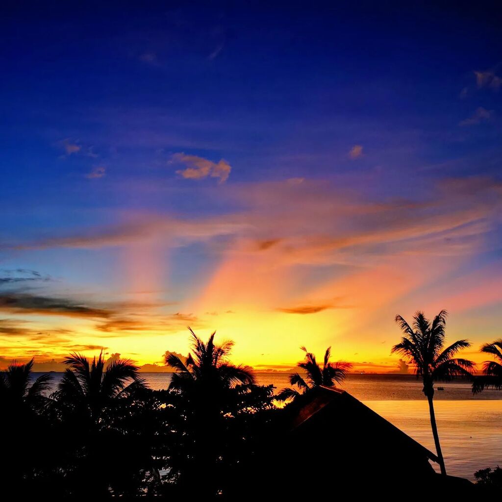 Björn Puls✨ tweet media