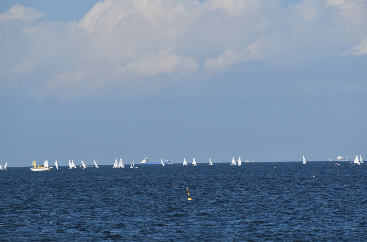 3955_trr's tweet image. 大学のヨットが、ずらりと並んでいる姿を、シーパラの沖合で見れた⛵️夏らしい景色🌻シーパラから少し南に行った、三浦市の三浦海岸の海に行った気分☀️海から、房総半島を見ているようなシーンが展開された🌴コロナが無ければ、すぐに行ける場所🚗　#八景島　＃シーパラ　#パラダイスクルーズ