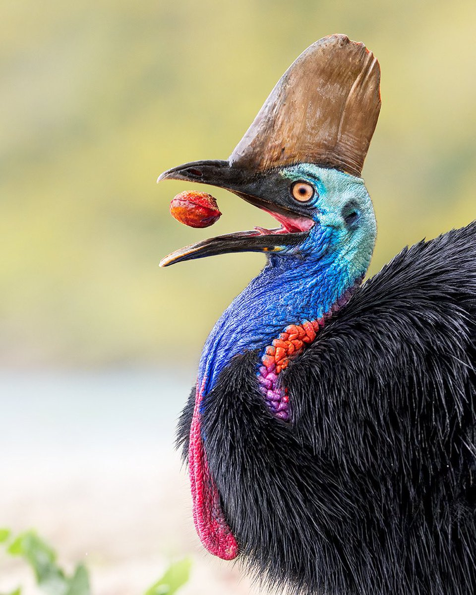 Jan Wegener tweet media