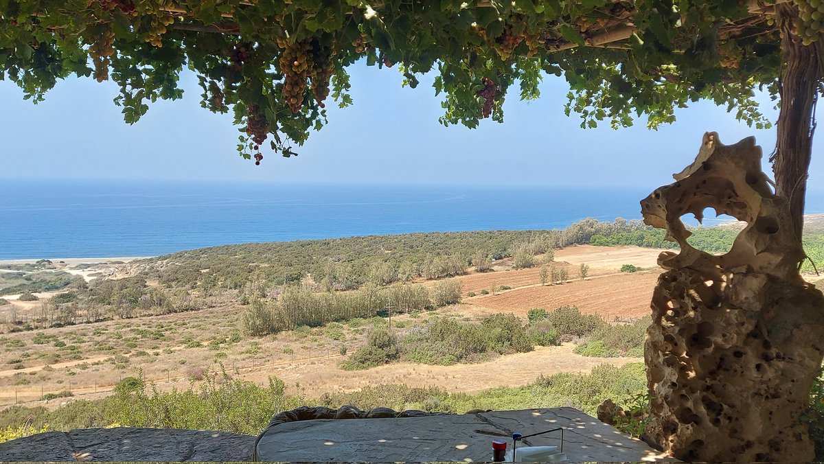 KCPhotographyEU's tweet photo. #Brilliant lunch today st #Viklari, 'The Last Castle' with @JulesClaxt @AshleighKno1 and family. Thanks to Chris at #CyTaxi #Peyia, #Cyprus on www.coralbaytaxi@mail.com
This is THE life! https://t.co/8bki16Pk32