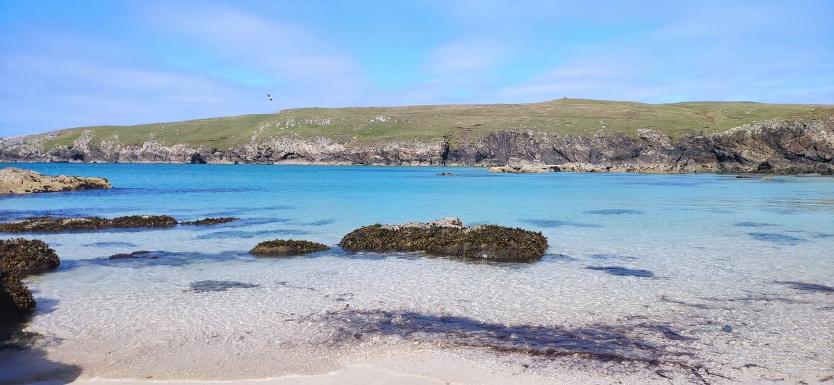 Nice colours at the beach today.