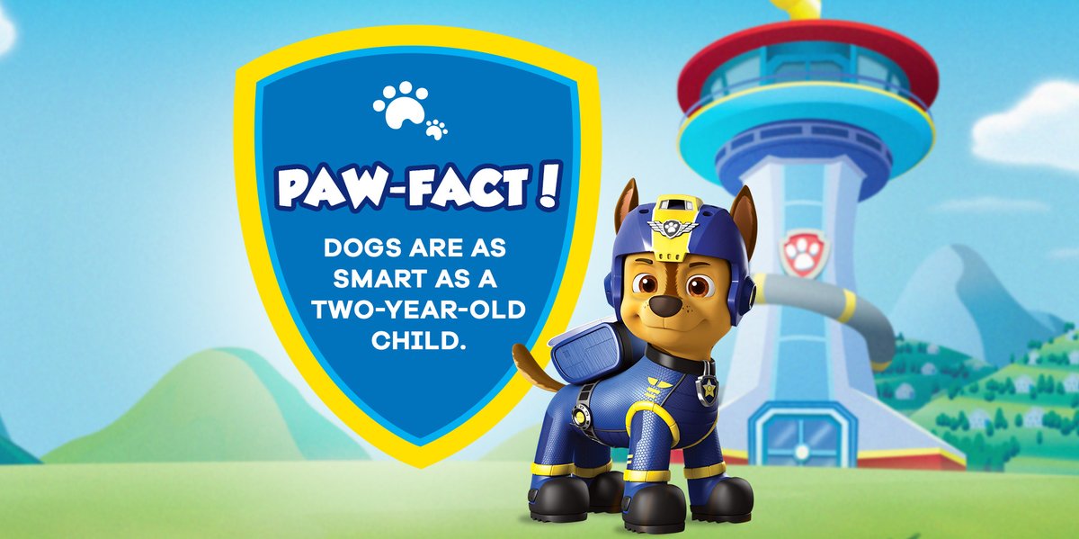 NickJrIndia's tweet photo. Surprise your junior with a PAW-Fact of their favourite pet. 🐾

Don’t miss the adventures of the PAW Patrol every day at 9 AM only on Nick Jr. 

#PawPatrol #Pups #ForYourJr #NickJrIndia #NickJr https://t.co/gXEdYv4F34