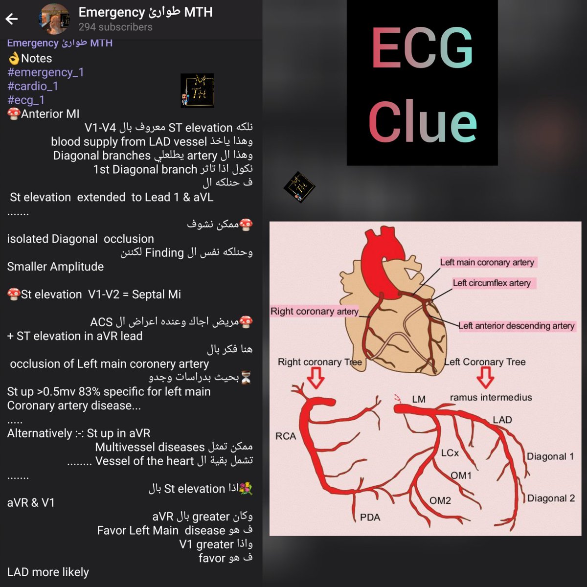 MTH977's tweet photo. https://t.co/ybBeo4FaxE
#ECGproductions
#المنطقة_الخضراء
#emergency
#EmergencyDeclaration https://t.co/lFpbUv3pLL