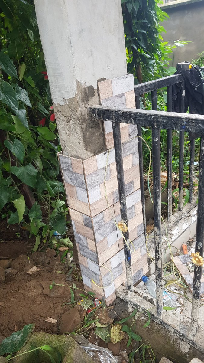 tise_wallor's tweet photo. Still going on @Tise_wallor.👷‍♂️👷‍♂️👷‍♂️👷‍♂️🇨🇲💉
https://t.co/WssYqLYyfh https://t.co/nj29Ba2ye4