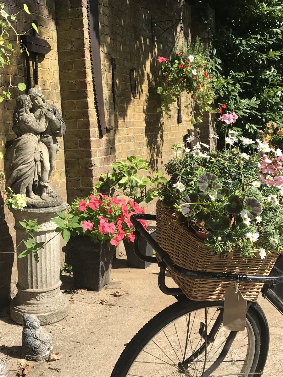 armadillofitter's tweet photo. A view in the yard at https://t.co/98NcOdVfPf https://t.co/g1mBapcMUS