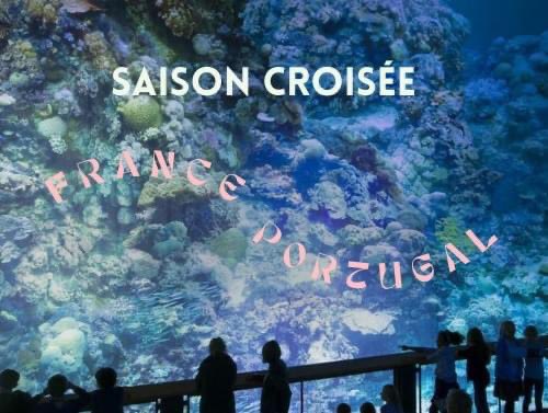 DesEquilibres13's tweet photo. À l’invitation de la Saison croisée France-Portugal, la chanteuse Cristina Branco, le guitariste Bernardo Couto, et l’Ensemble revisitent le fado, en le confrontant à des écritures contemporaines.

Consultez notre site web pour tous les dates à venir de « Fado em Movimento » 😊 https://t.co/aN8N2jegsr