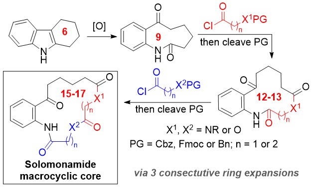 Dr Will Unsworth (@unsworthchem) on Twitter photo New paper just out in Synlett <a href="/thiemechemistry/">Chemistry at Thieme</a> on a ring expansion approach towards solomonamide natural products. Amazing effort from first author <a href="/yang_zhongzhen/">Zhongzhen Yang</a> on a project that started out as <a href="/ChemistryatYork/">Chemistry at York</a> MChem project with @Baldwin_Chris_
thieme-connect.com/products/ejour… New paper just out in Synlett <a href="/thiemechemistry/">Chemistry at Thieme</a> on a ring expansion approach towards solomonamide natural products. Amazing effort from first author <a href="/yang_zhongzhen/">Zhongzhen Yang</a> on a project that started out as <a href="/ChemistryatYork/">Chemistry at York</a> MChem project with @Baldwin_Chris_
thieme-connect.com/products/ejour…