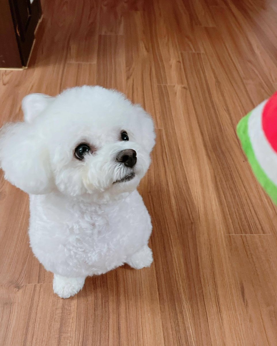 chenlededaegal's tweet photo. 천러 인스타에 첫 대갈이 사진🥹🫶🏻 https://t.co/E5ue5HwNhY