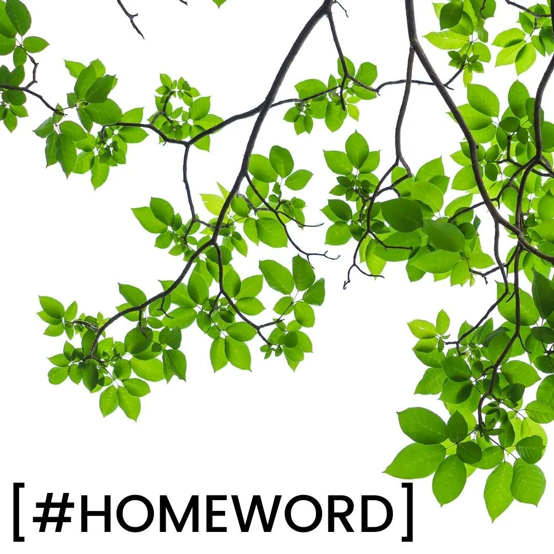 BCHFAMILY's tweet image. This month's #HOMEWORD from Jim Edminson is rooted in stories of longevity. Take time to read it today: buff.ly/3e2QITE #BCHFamily