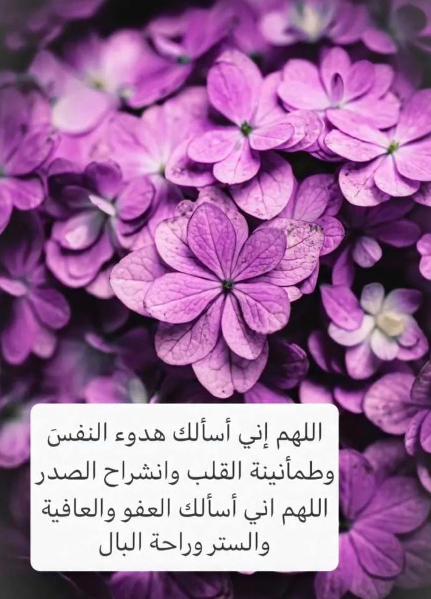 Sammm47246384's tweet photo. استشعر  بصدقٍ ويقين💜🌹 "وَأُفَوِّضُ أَمري إِلَى اللَّهِ إِنَّ اللَّهَ بَصيرٌ بِالعِبادِ" سيتولى الله أمرك 
وإذا تولى أمرك هيأ لك الفرج ..
والسعاده ..💐
وإنشراح الصدر بأسباب لا تشعر كيف حصلت ....
إنه الله الودود الرحيم الذي لا يعجزه شيئ في الأرض ولا في السماء https://t.co/suJldYM9fg