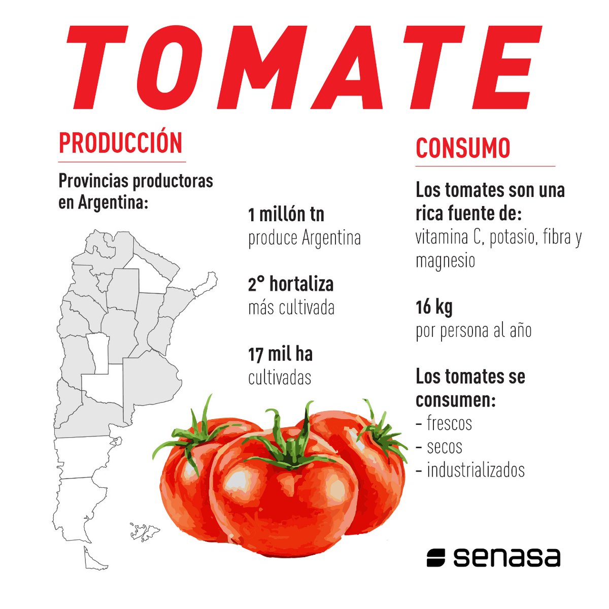SenasaAR's tweet image. #Tomate: un fruto que supera expectativas y promete 🍅⬆️🇦🇷
En nuestro país, el tomate es el segundo cultivo hortícola más importante después de la papa 🥔 Su producción se desarrolla en aproximadamente 17 mil hectáreas de las cuales se obtienen cerca de 1 millón de toneladas.