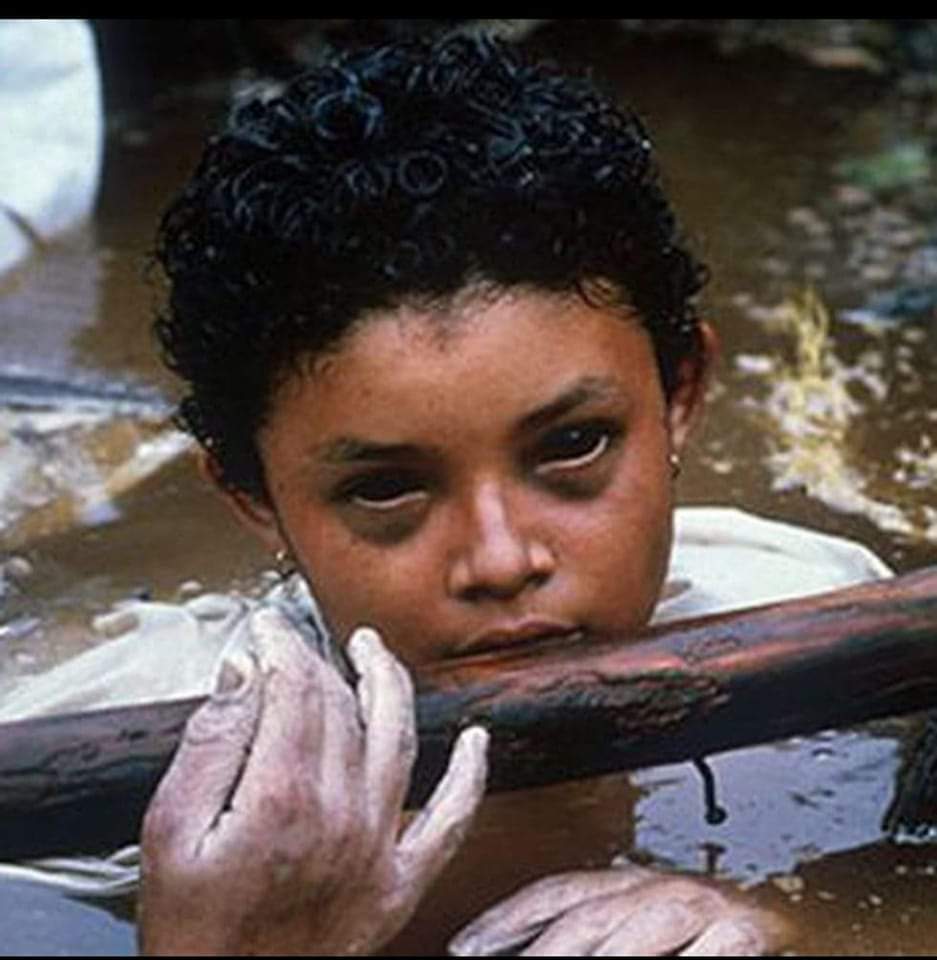 Boniatobill🔻☮️😇 tweet media