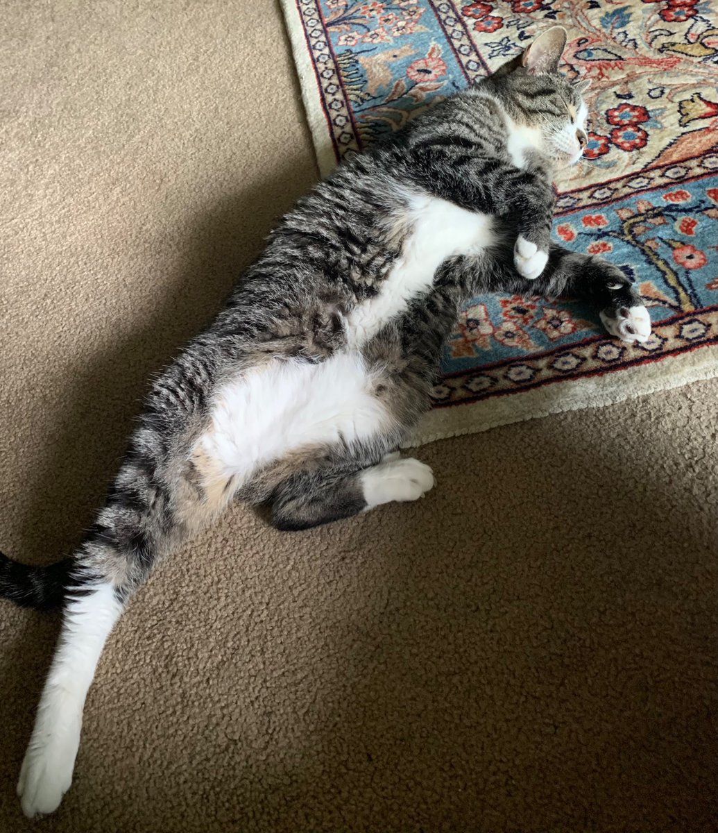Jack, draw me like one of your French girls.