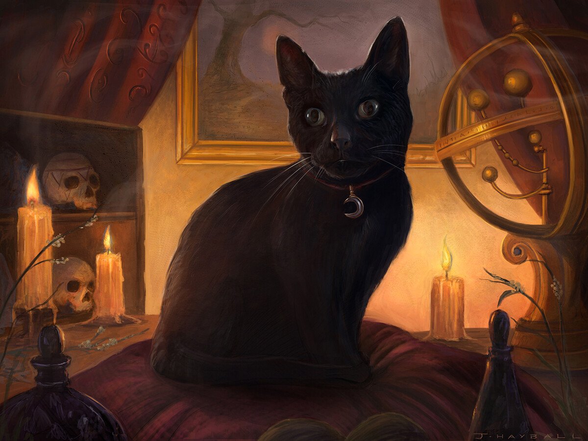 Hey! Anyone currently looking for private or commercial art work, I have limited space free at the moment. Please contact on here or email: jameshayball@hotmail.co.uk 🤘🤟