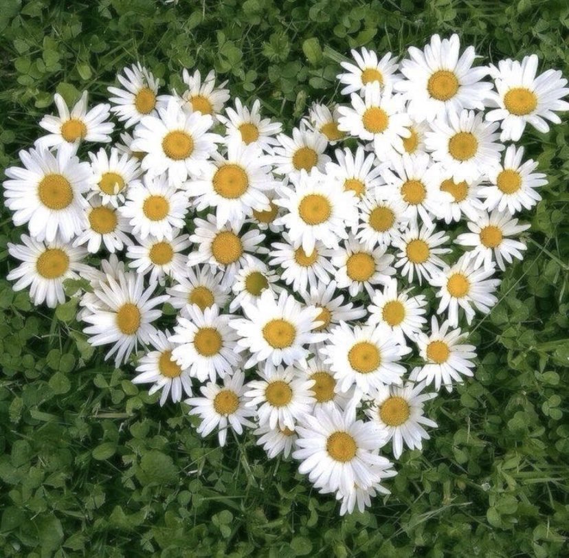 We are looking for a part time front of house team member.Must be energetic with a positive attitude and able to work in a fast paced environment as it can get VERY busy here! Day shifts only with flexible hours between 8am - 3pm but will include Saturdays …message us! X