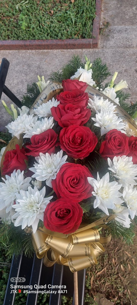 JelenaMKandic's tweet photo. Draga @sjaoming,
Dragi @parachiYT cc @Crni_Radoje,
Večna slava generalu #BožidarDelić🌹 & #BesmrtniBataljon🌹 #HerojiSaKošara🌹 & #HerojiSaPaštrika🌹.
Veliko hvala #549mtb.💂🏻🌄💂🏻♂️
porodica KANDIĆ iz #Čačak🦁🏰🦁 & #Beograd🌹⛪️🌹
#NemaNazad💪🏻🇷🇸✊🏻
#IzaJeSrbija❤️💙🤍 https://t.co/Kjx4NKkpOk