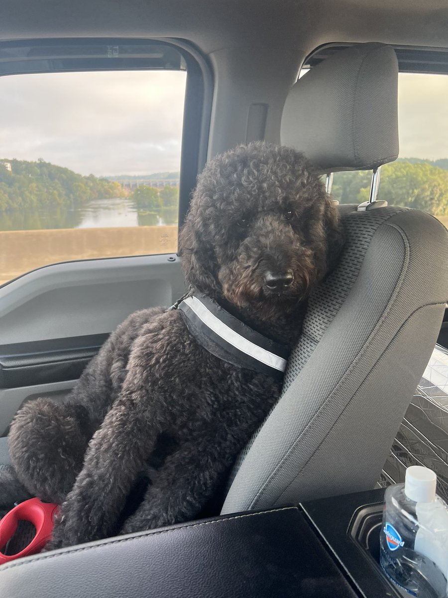 Uncle Oat tweet media