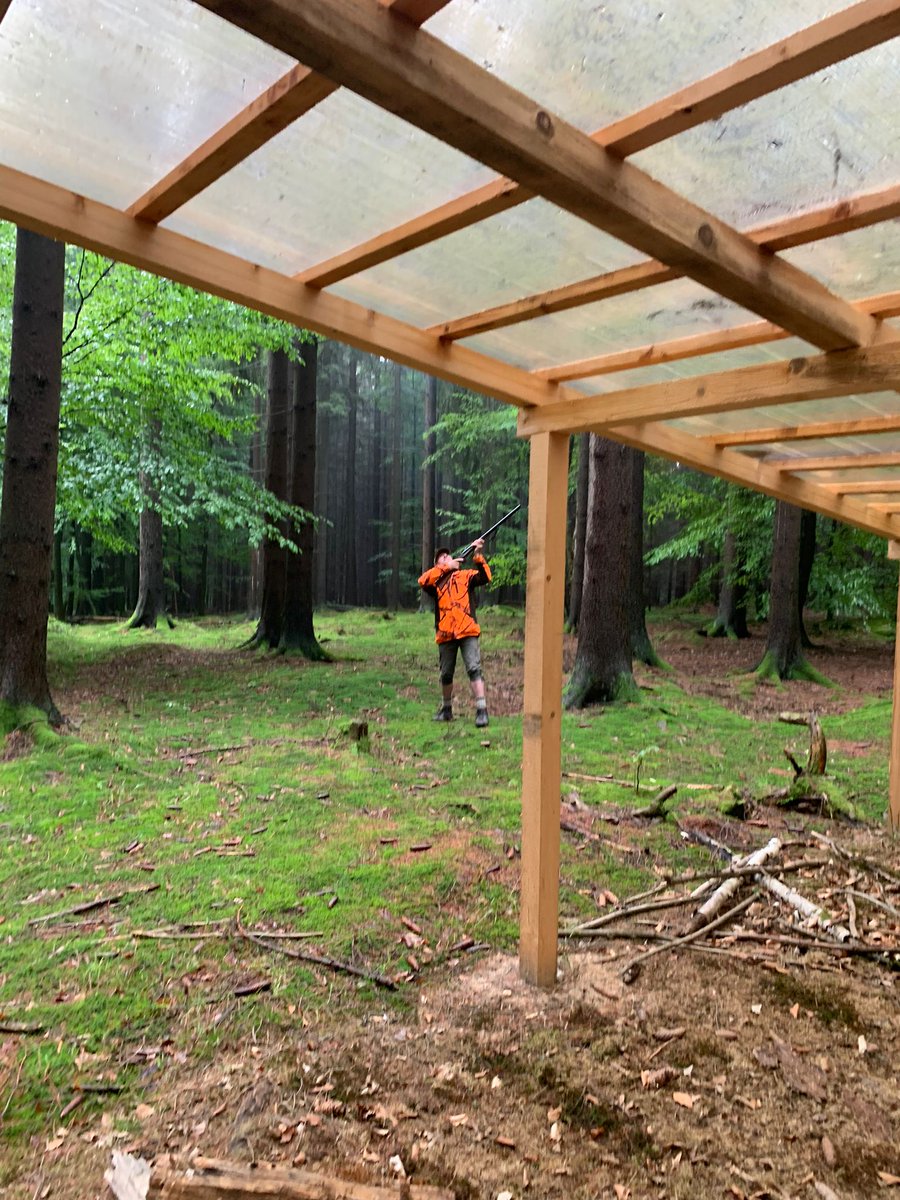 EcologyInsects's tweet photo. The third field campaign on drought stress spruces under roofs of #Extemit-K. Collection bark and twig samples + #barkbeetles bioassays. @AJirosova thank to all, who helped. https://t.co/eeeLvEyPJp