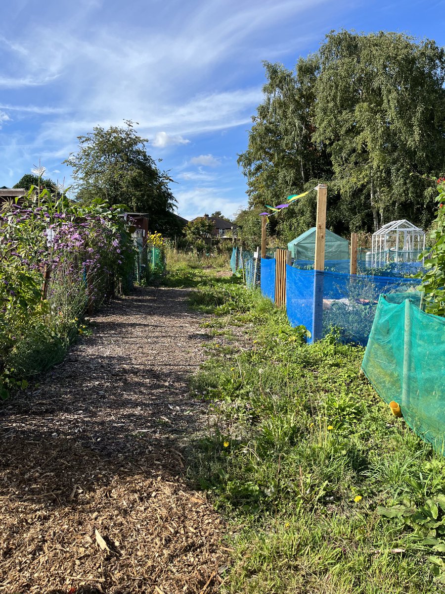 TJKelly18's tweet photo. Great morning to be out and about in Higher Irlam and Peel Green, delivering information regarding the new bus charges and a visit to Addison Road allotments. https://t.co/vEfqG7ADMk