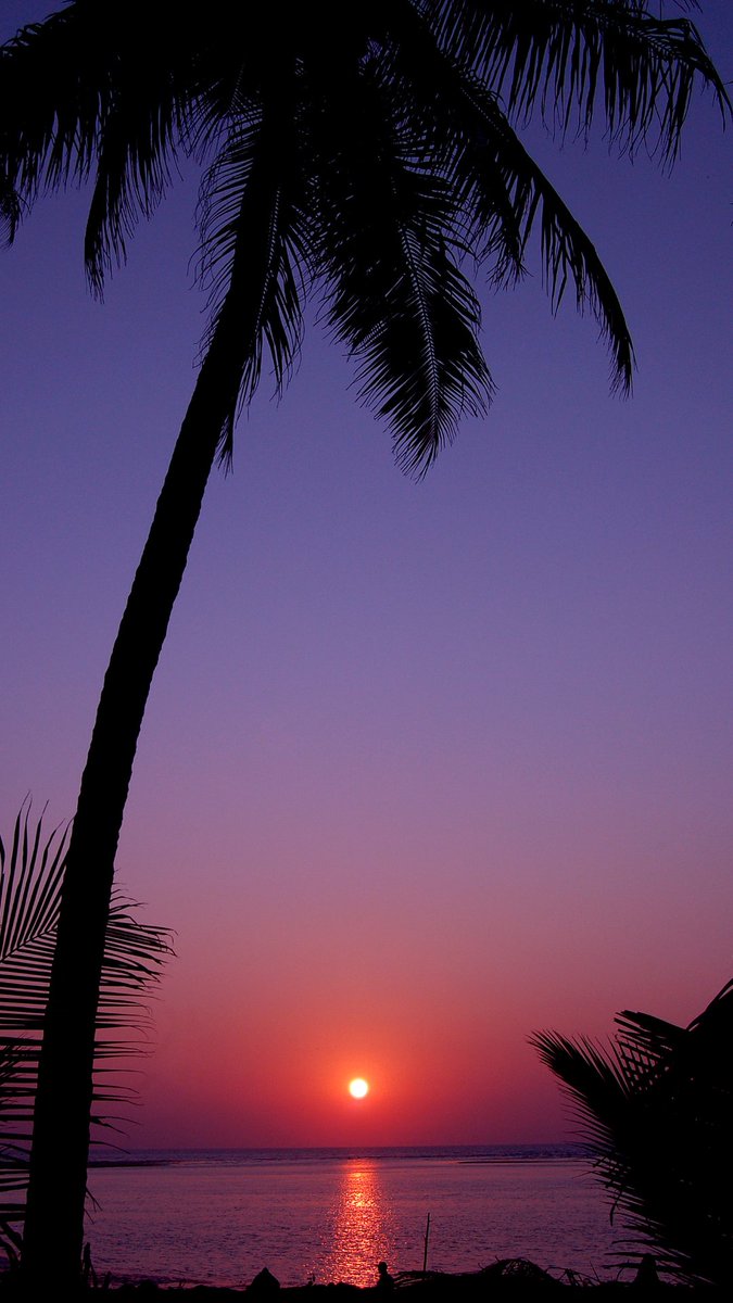 GolvenResort's tweet photo. Beaches &amp; Sunsets are the most enjoyed &amp; scenic views at the Golven Beach Resort. Resting on sands, relaxing, looking at the calm waves &amp; the setting sun gives one a sense of serenity.
.
#sunset #beach #scenicview #vacation #familytime #vengurla #konkan #staycation #golvenresort https://t.co/tHTHCzSNGX